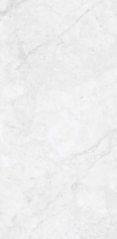 Lonix Light Grey 600×1200 – плита крупным планом
